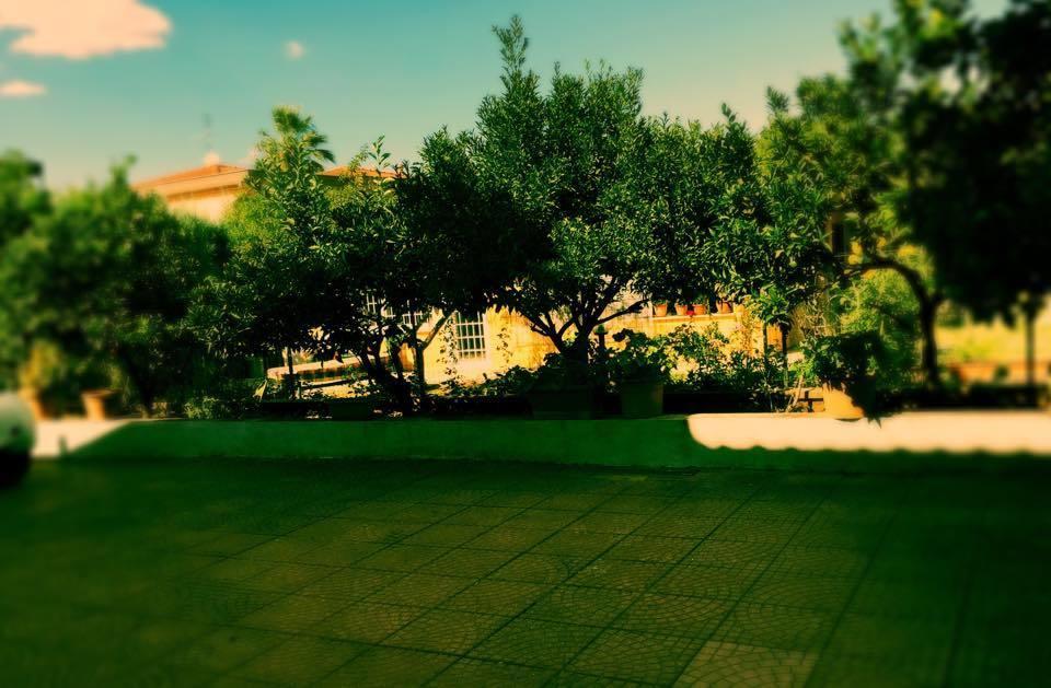 Morena Villa Aurora المظهر الخارجي الصورة